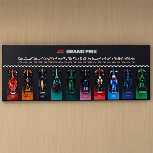 iLuane Display Wallboard for Lego Speed Champions Collector's Pack 66802, Holds 10 Cars in One Frame, Adult Collectibles Wall Mount, Home or Office Décor, 77242–77251 Style B (No Car Included)